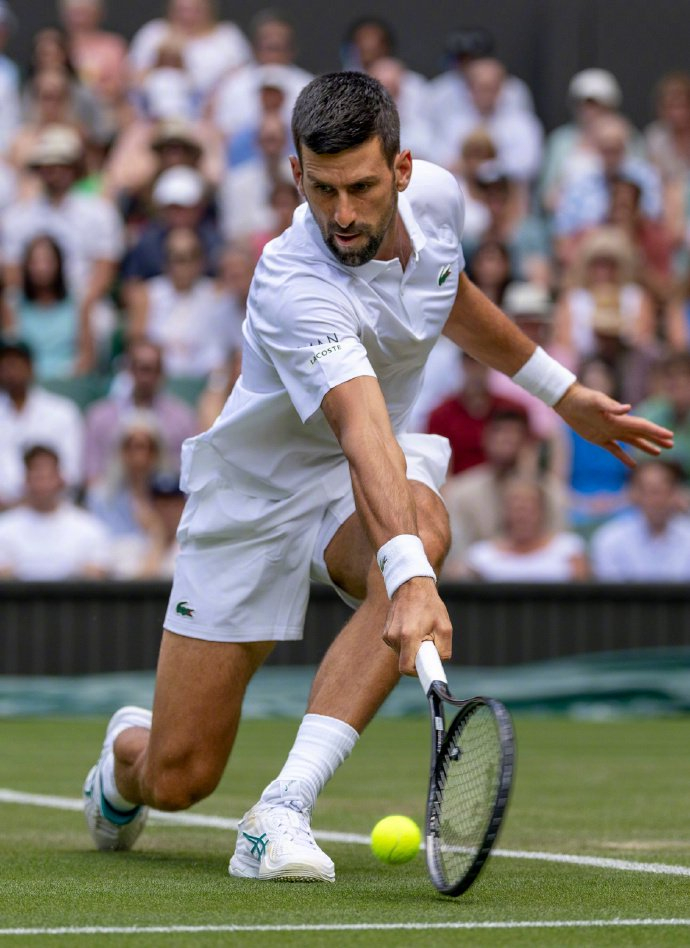 戴维斯杯翻盘联合杯，德约科维奇状态火热