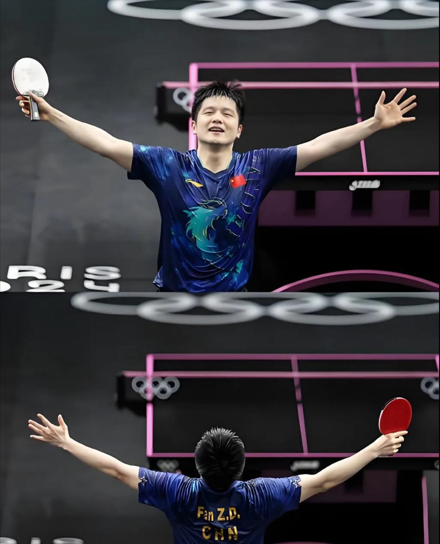 奥地利队轻取日本队，樊振东高光表现