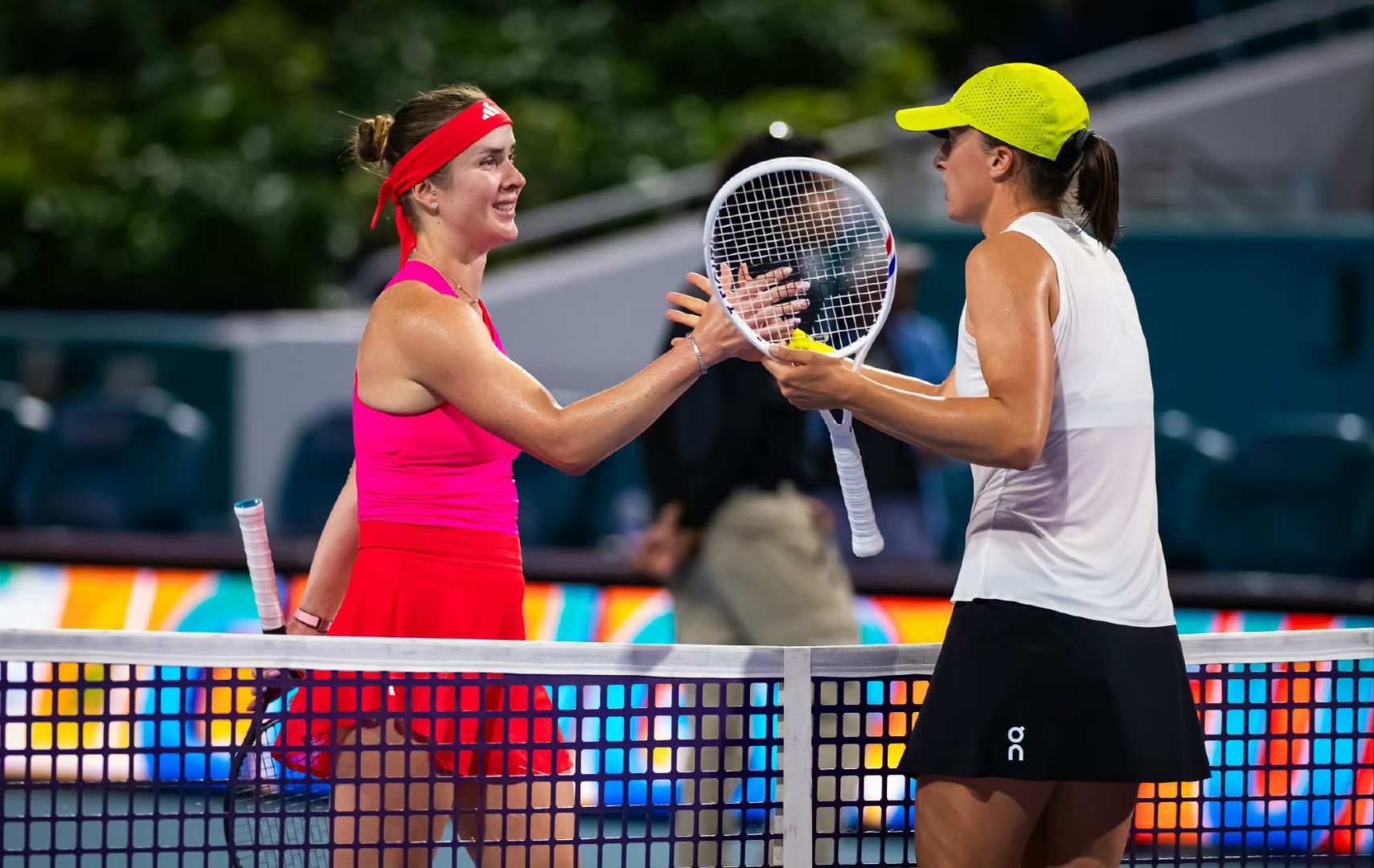 戴维斯杯完胜法网，蒂姆点燃赛场