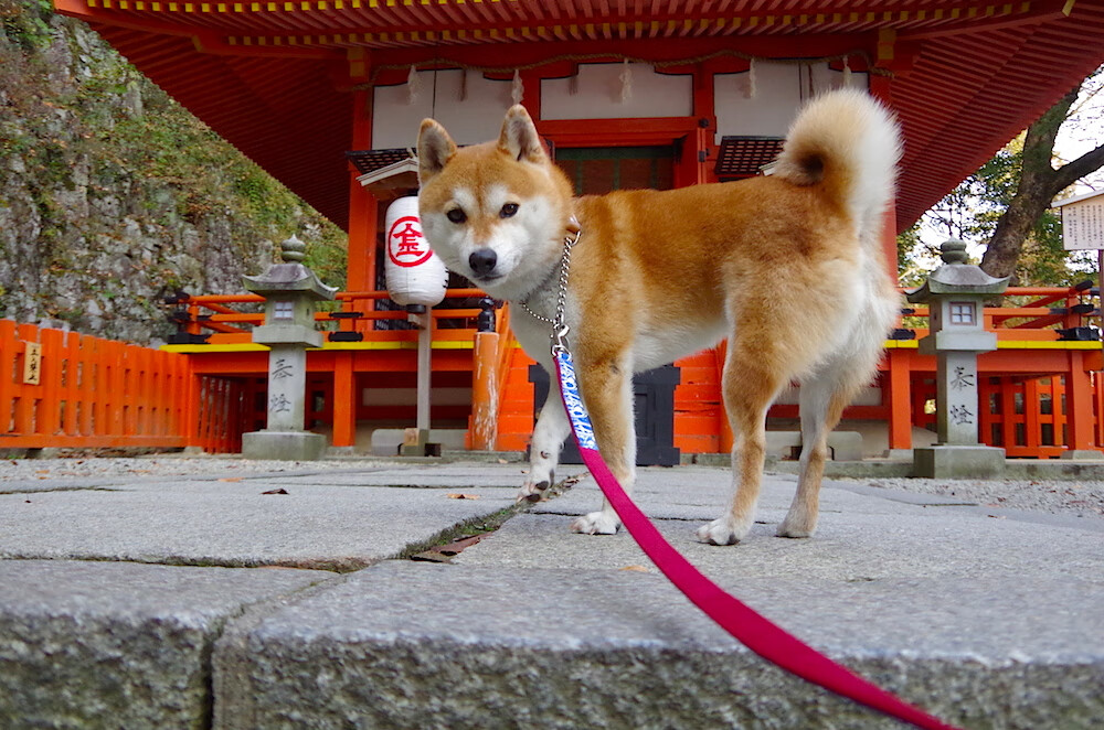 勇士完胜掘金，贝恩在东决关键战接管比赛