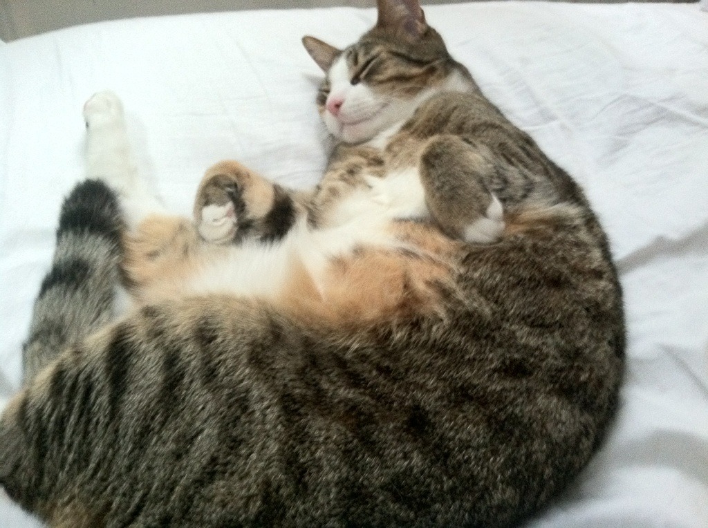 乔治全程高能输出，热火决胜局力克76人