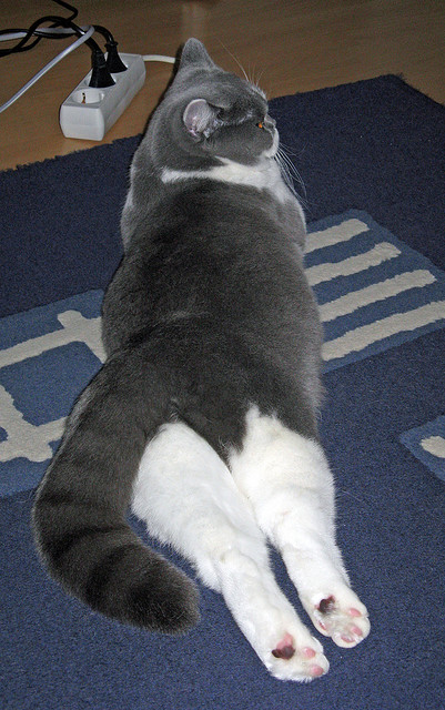 跨界之战，当NBA奇才队拿下广东宏远，一场虚拟总决赛的启示