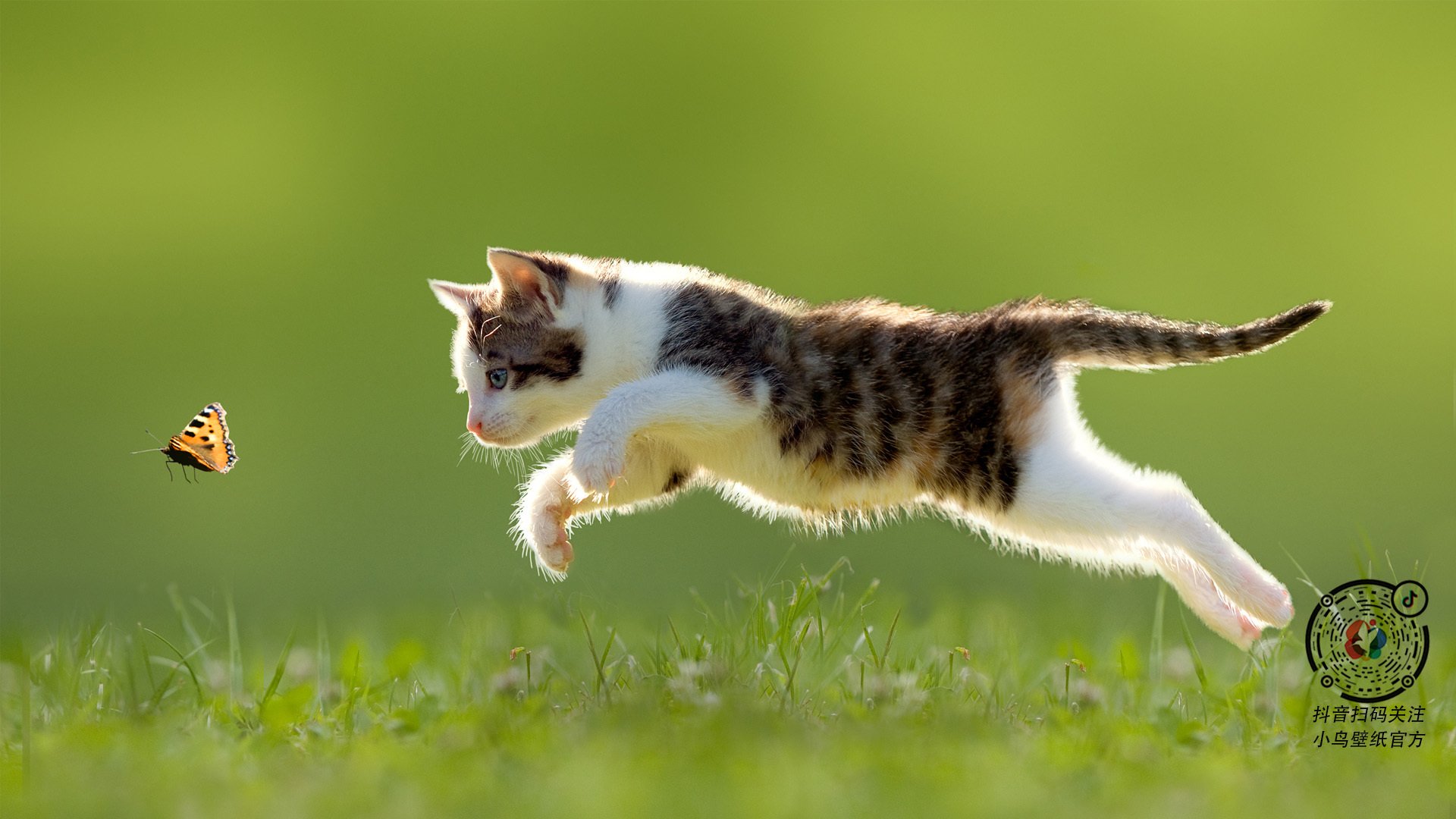 摩纳哥击溃皇马，法比尼奥成为关键先生