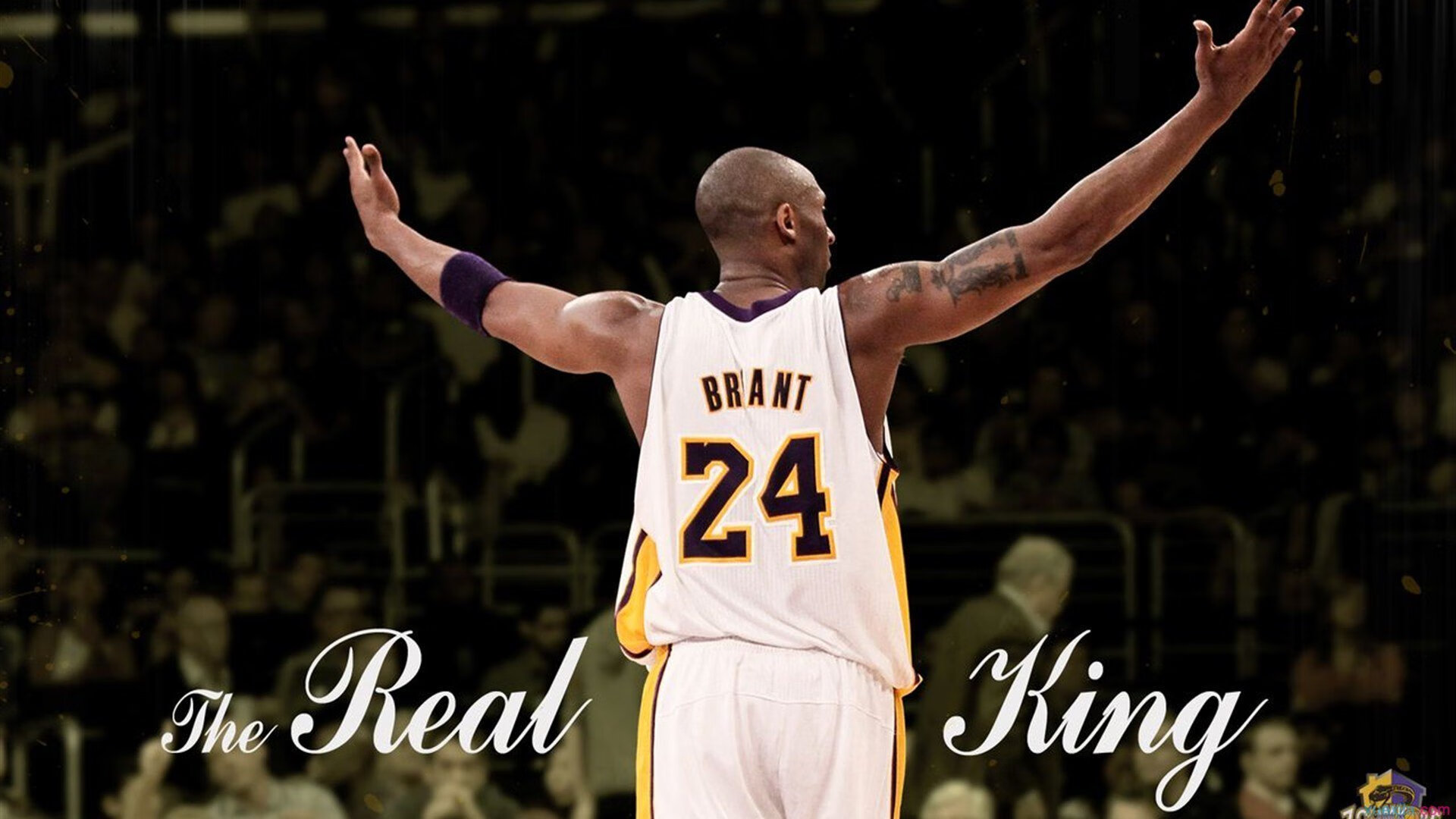 冰与火之歌，辽宁铁骑的森林狼之征，与拉文的西决涅槃